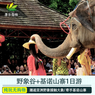 2个人去西双版纳旅游要多少钱的简单介绍